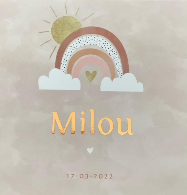 Deze afbeelding heeft een leeg alt-atribuut; de bestandsnaam is unnamed.jpg